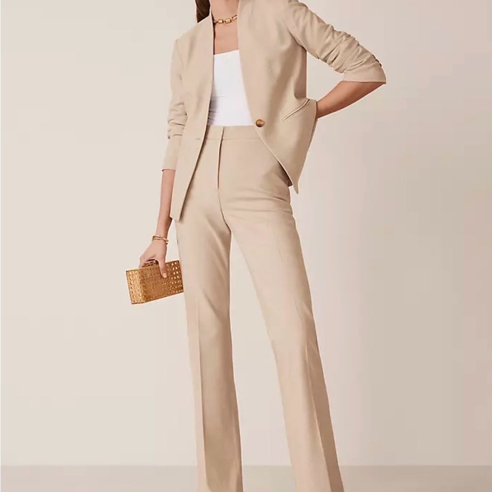 Ann Taylor Brown Women's Trouser Pant